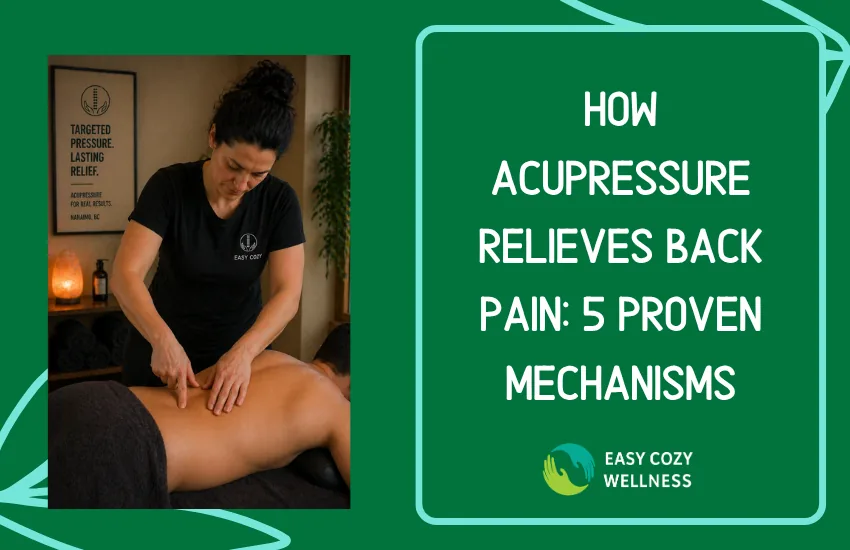 How Acupressure Relieves Back Pain: 5 Proven Mechanisms
